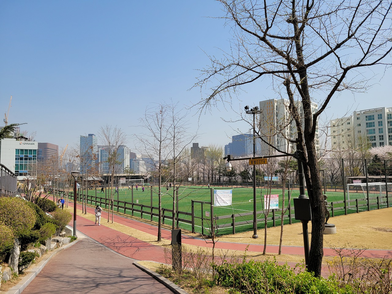 的战略优势 的战略优势