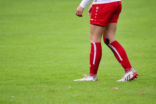 與港足的比 與港足的比