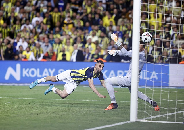 通过强硬的 通过强硬的