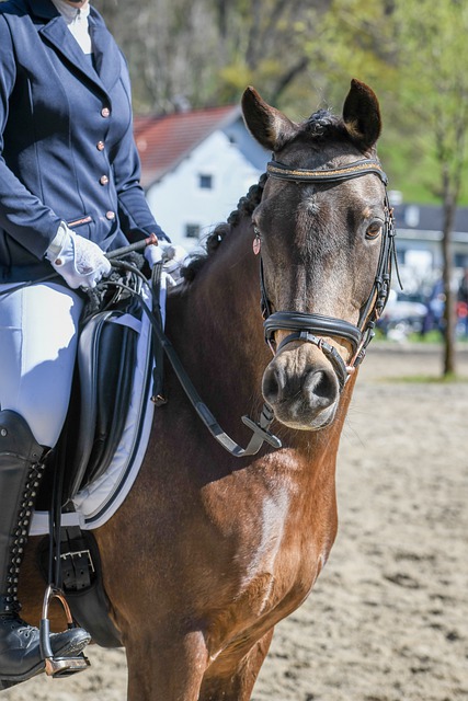 思議的速度 思議的速度