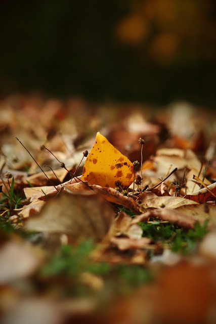 再次回归 再次回归