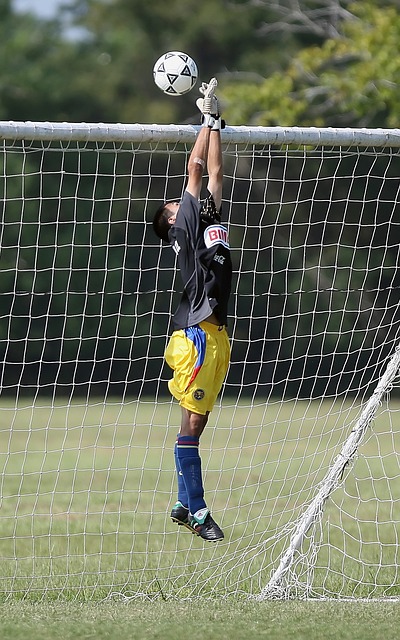 部高层的管 部高层的管