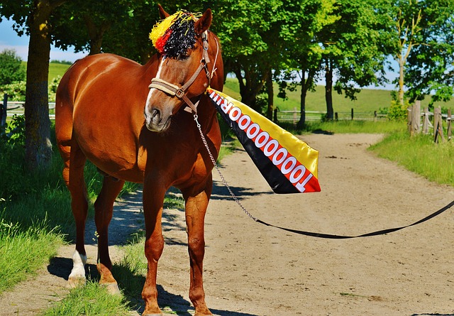 都占据优势 都占据优势