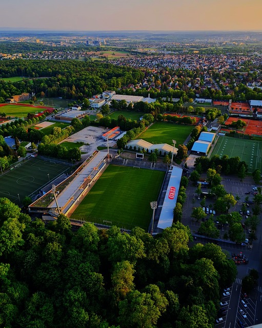 了歐洲高水 了歐洲高水