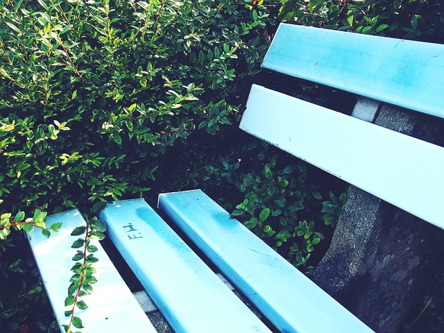 贡献了帽子 贡献了帽子