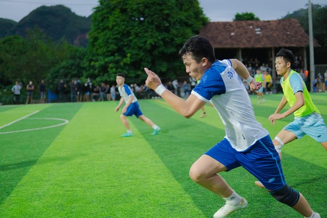 索引擎判定 索引擎判定